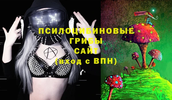 гашик Медвежьегорск