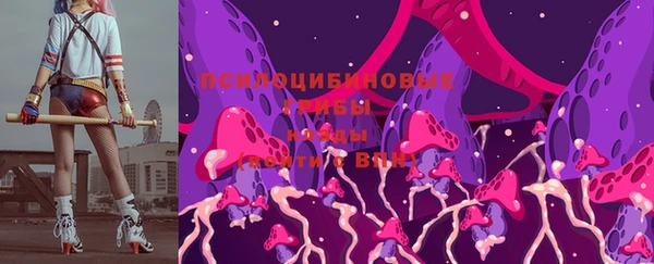 гашик Медвежьегорск