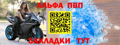стаф Гай
