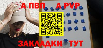 стаф Гай