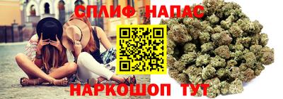 стаф Гай