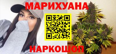 стаф Гай