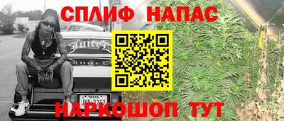 молекула духа Гагарин