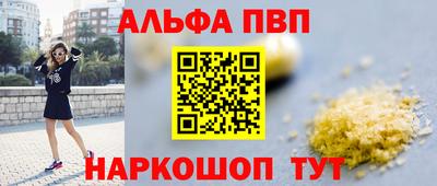 стаф Гай