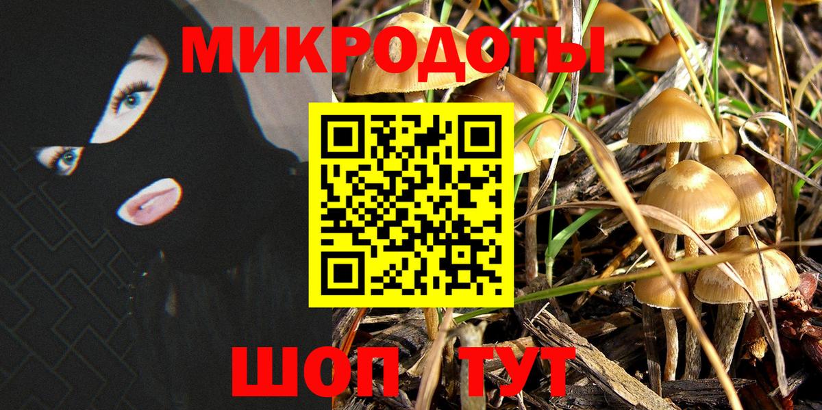 Псилоцибиновые грибы MAGIC MUSHROOMS  Вход с VPN  как найти   Кудымкар 