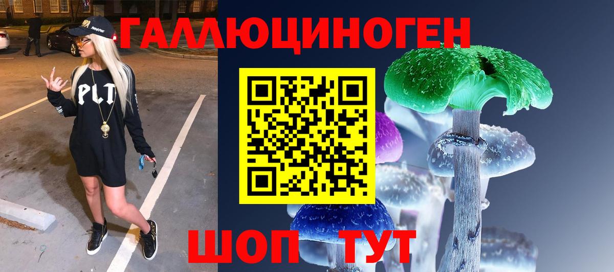 Псилоцибиновые грибы прущие грибы Кудымкар