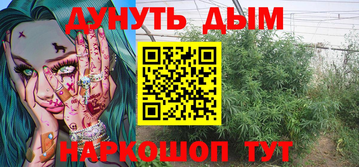 Бошки марихуана Amnesia  Вход с VPN  Бошки марихуана индика  Кудымкар 